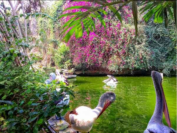 Kebun Binatang Ragunan